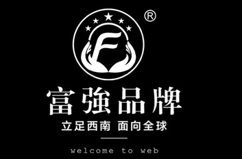 贵州富强科技包装有限公司官网网站案例
